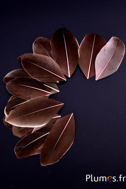 Verenblaadjes - 6-8 x 3-4 cm - roze
